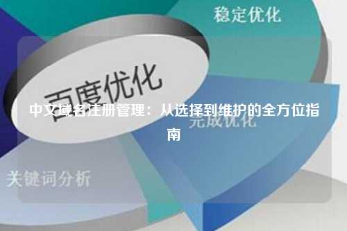 中文域名注册管理：从选择到维护的全方位指南