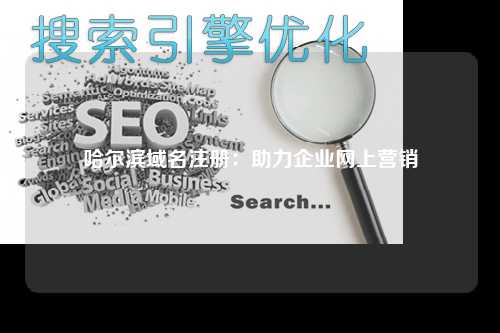 哈尔滨域名注册：助力企业网上营销
